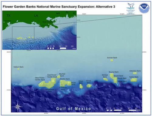 Flower Garden Banks National Marine Sanctuary