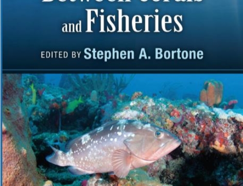 Characterization and interrelationships of deepwater coral/sponge habitats and fish communities off Florida, USA